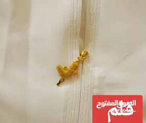  24 اقلام وبديل القلم