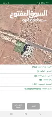  3 ارض 750 م شمال عمان زينات الربوع للبيع بسعر حرق المكمان