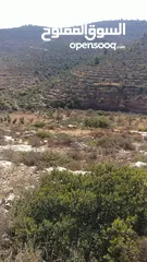  6 ارض للبيع طابو أ سلطة من المالك مباشرة
