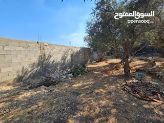 2 أرض مميزة للبيع بين عسكرين – موقع رائع وفرصة استثمارية