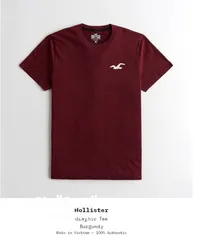  4 Original Hollister t-shirts form Germany 100%