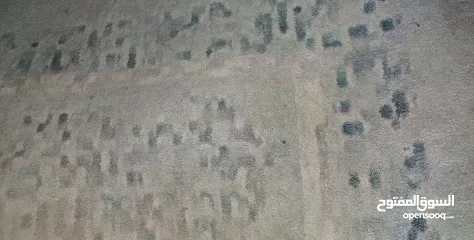  6 سجاد قص محبوك