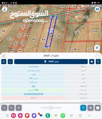  1 للبيع قطعه ارض 10 دونم في القويره من اراضي جنوب عمان بجانب مطار الملكه عاليه الدولي