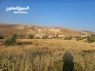  4 ارض في منطقة الكمشة 526 متر بتجنن
