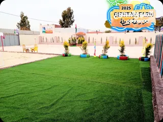  29 مزرعة قشطة للايجار في بلعما - مزرعة 5 STAR - مزرعة VIP - مزرعة للايجار - مزارع للايجار