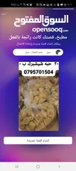  5 كرشات وفوارغ