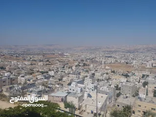  28 شقتين متجاورتين ارضيتين للايجارمطله على عين الباشا بالقرب من المطلات