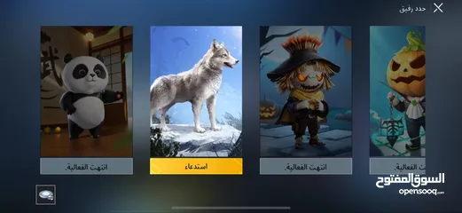  19 حساب ببجي ل بيع باسعر حرققق داخل ماركا شماليه