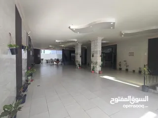  2 شقه عظم للبيع بالرمال
