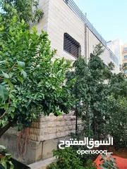  6 منزل طابقين جبل عمان