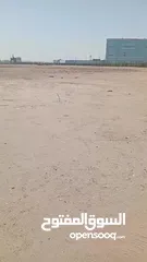  5 كروان لايفوتكم عشاق الهددد الخارجي اعرض لكم هدد داخلي وخارجي كروان الابينو هولدي عيون حمره