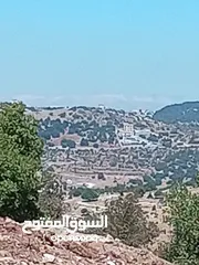  7 مزرعه للبيع في جرش سوف منطقه الظهره الشماليه
