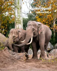  30 test test test test