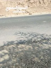  14 ارض للبيع اريحا _قطعة ارض