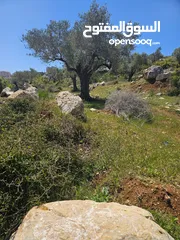  2 ارض للبيع في بيرزيت