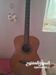  11 Acoustic Guitar Cort AF-550 NS جيتار اكوستك اصلي كورت اوتار جديدة موديل فخم للبيع