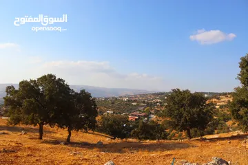  8 أرض للبيع في أرقى احياء المملكة بدر الجديدة ذات اطلاله