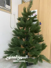  1 Christmas Tree