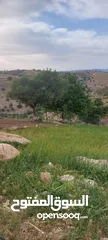  2 الكمشه حوض المكمان 3405 م على شارعين اطلاله شماليه غربيه رائعه مستصلحه ومسوره قرب الخدمات