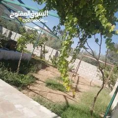  12 منزل للبيع قصر حلابات غربي قرب مصانع طيبه