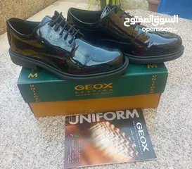  1 حذاء رجالي نوع GEOX الاصلي جديد