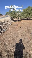  5 ارض للبيع من المالك مباشره