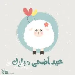  8 لحام جزار اضاحي متنقل ... ذبح ... سلخ ... تقطيع