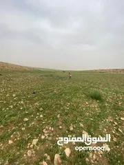  4 ارض مساحة 3,757 دونم للبيع بسعر مغري في منطقة الدليله