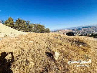  15 قطعة ارض للبيع في صويلح الكمالية