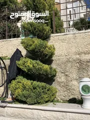  2 فني تنسيق حدائق