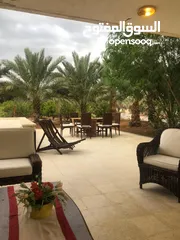  4 مزرعة في الشونة الجنوبية / غور نمرين - ref: 12165