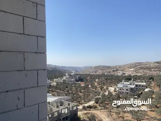  4 شقق عظم جديدة