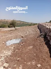  27 مزرعه للبيع في جرش سوف منطقه الظهره الشماليه