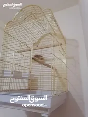  3 قفص ببغاء ذهبي