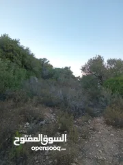  4 ارض للبيع 2 دونم و 218 متر طابو قريبة جدا من الخدمات والشارع بسعر مغري