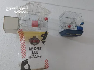  3 طيور حب للبيع في اربد الرجاء الاتصال على الرقم يلي داخل الاعلان