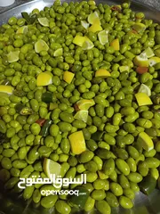  6 زيتون أخضر بلدي جبال جرش