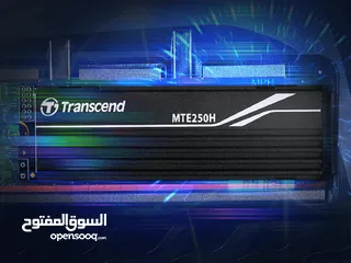  8 هارديسك داخلي مساحة 1 تيرا بايت نوع : M.2 NVMe ترانسيند Trancsend MTE250H 1TB