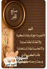  1 ارانب بلديات  للبيع