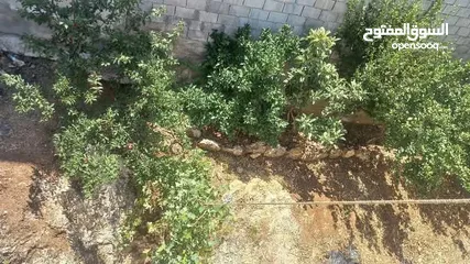  9 منزل للبيع