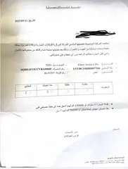  12 شيري اريزو 6 برو 2024 للبيع زيرو