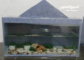  1 حوض سمك مع احجار وشجر زينه حوض كامل ب 10
