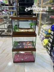  1 أحواض سمك مميز عروض خيالية جودة عالمية تابع الوصف
