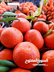  28 تصدير خضار وفوكه يمنيه