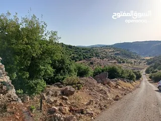  7 أرض متعددة الاستخدامات في أجمل مناطق عجلون
