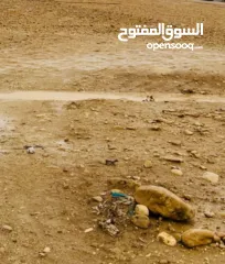  2 ارض للبيع من المالك مباشرة في بلدة العوجا الهادئة.. مساحة 1600 متر مربع تصنيف أ