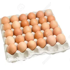 1 مطلوب  بيض دجاج كشن في اربد