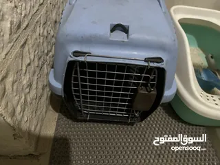  2 ليتر بوكس + قفص نقل + صحون اكل وماء شبه جداد ............................................