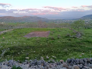  4 مشروع سلحب الاول