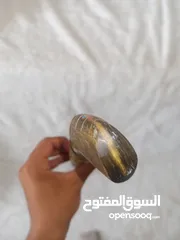  8 عكازة فرعونية قديمة جدا انتيك قرن الغزال